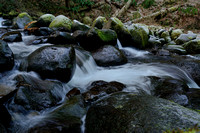 Oneanta Creek