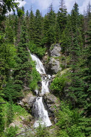 Leroy Creek Waterfall