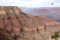 Grand Canyon Rim-Rim 1117