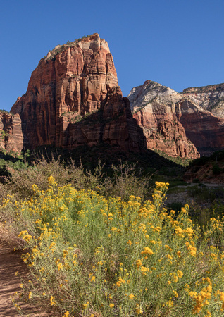 Zion National Park