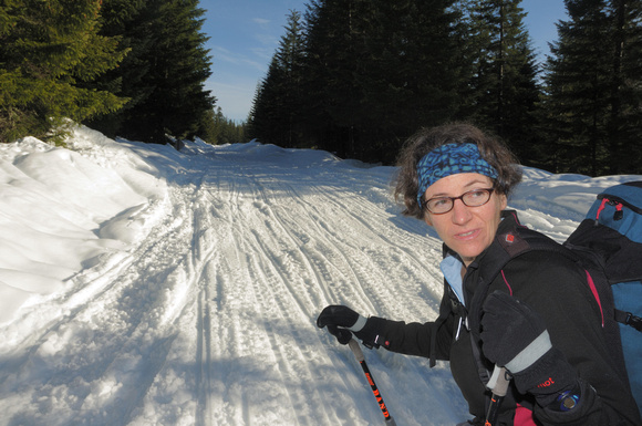 Snowmobile Track Better for skiing